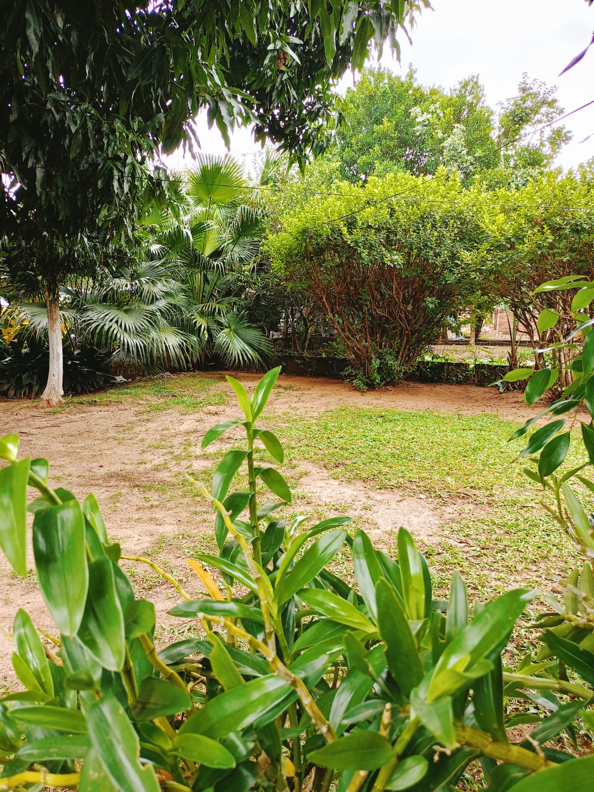 Unidade Sapiranga 10