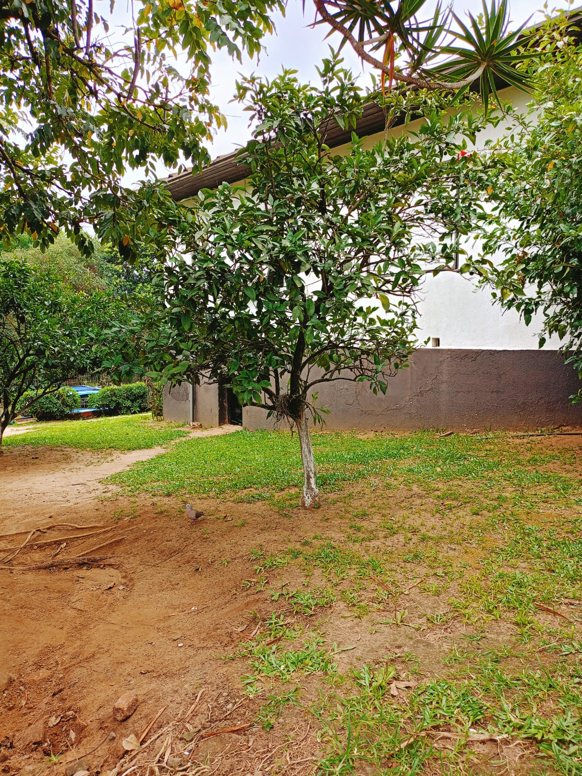 Unidade Sapiranga 13